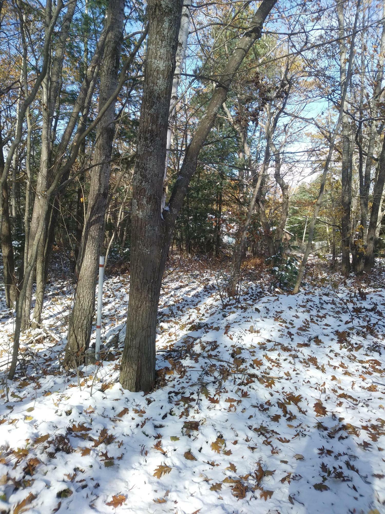 Property Photo: 00 Luna Lane Lot # 11 MI 49759