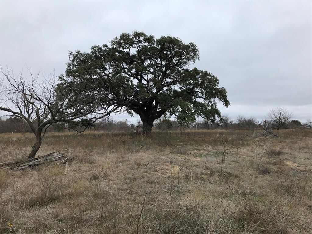 Property Photo:  14ac Fm 218 W  TX 76890 