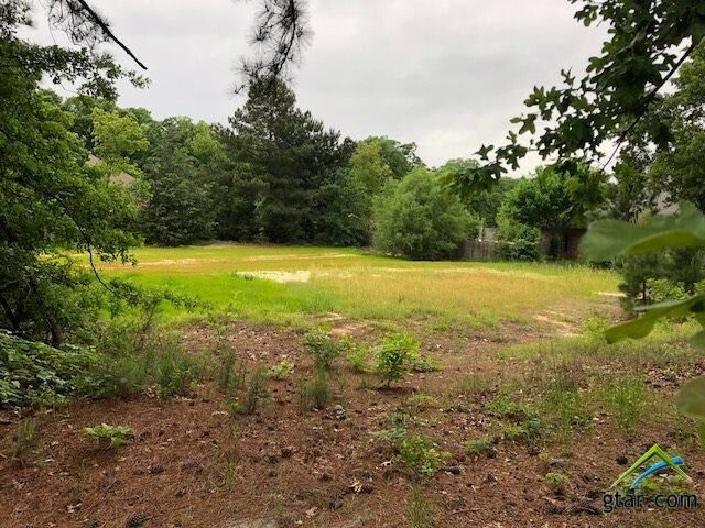 Property Photo:  Lot 77 Cr 2317  TX 75773 