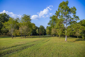 Property Photo:  Woodgate Drive Lot 14  TN 38571 