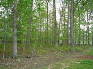 Property Photo:  Mountain View  TN 38558 