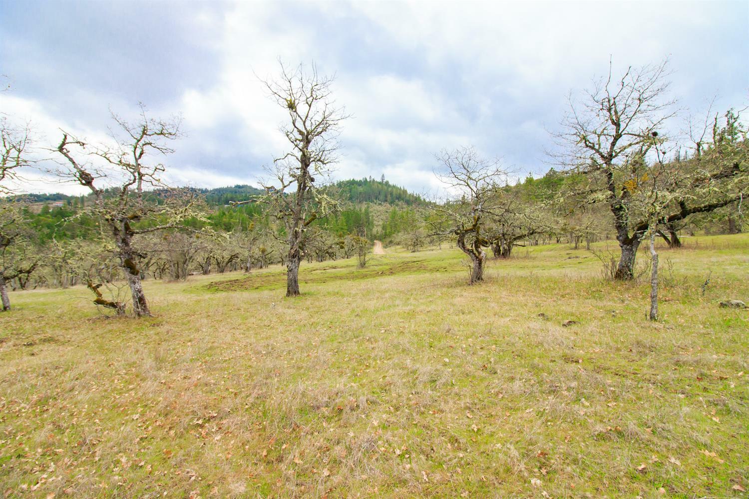 Property Photo: 0 Wren Ridge Tl 8000 Drive OR 97524