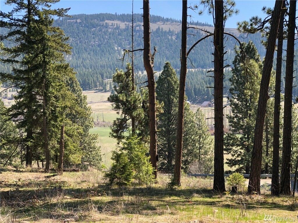 Property Photo:  Lot 2 Ranch Rd  WA 98922 