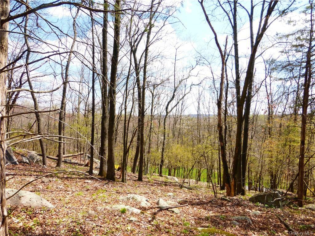 Property Photo:  Chardavoyne Road  NY 10990 