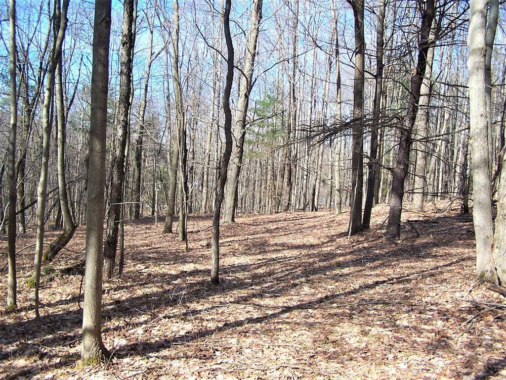 Property Photo:  0 County Road 6  NY 14805 