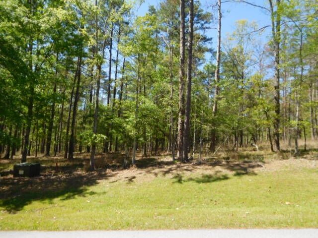 Property Photo: 1071 Jones Bluff Court GA 30642