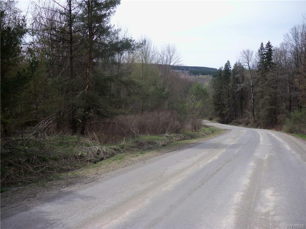 Property Photo:  0 Older Hill Road  NY 14060 