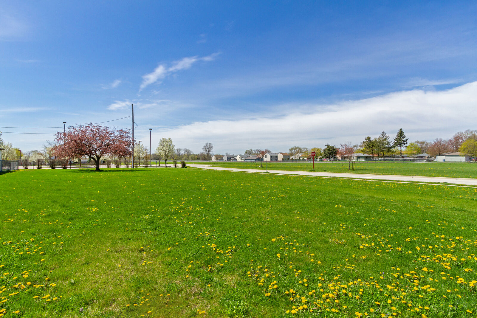 Property Photo: 244 West Blair Street IL 60185