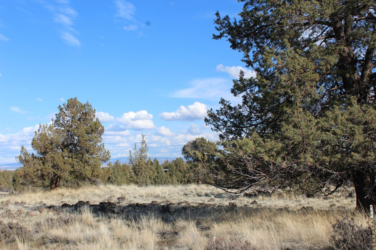 Property Photo: 12333 SW Scorpion Drive OR 97734