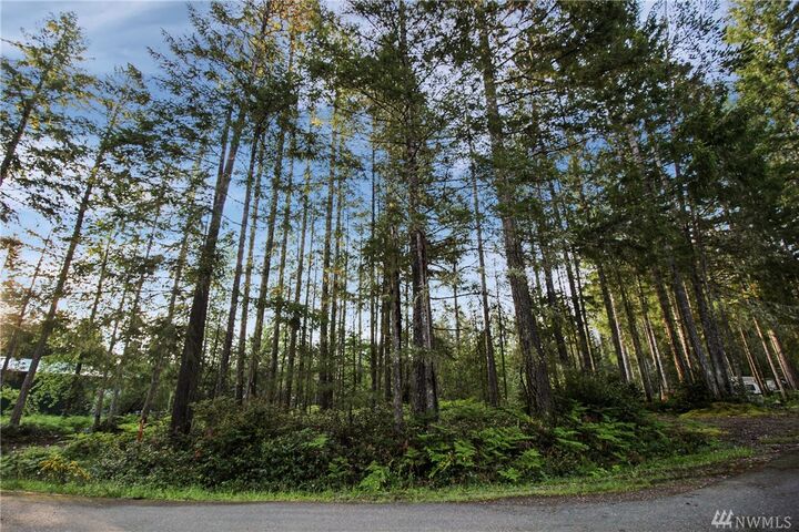 Property Photo:  51 N Bass Place  WA 98548 