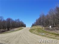 3 Trail Heights  Ellicottville NY 14731 photo