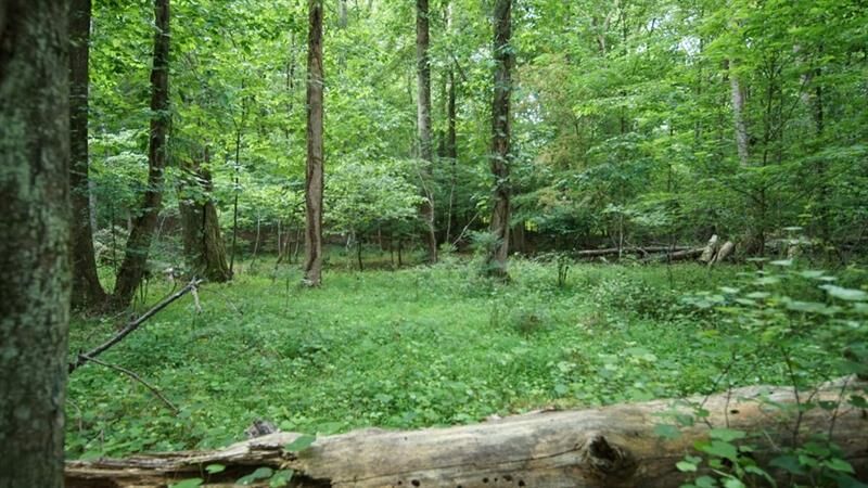 Property Photo:  2877 Heather Row Ridge SW  GA 30047 