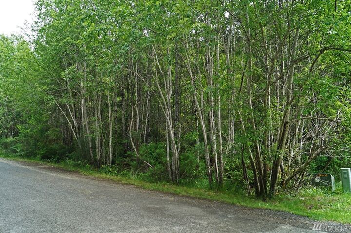 4 5-11 E Spencer Glen Dr  Shelton WA 98584 photo