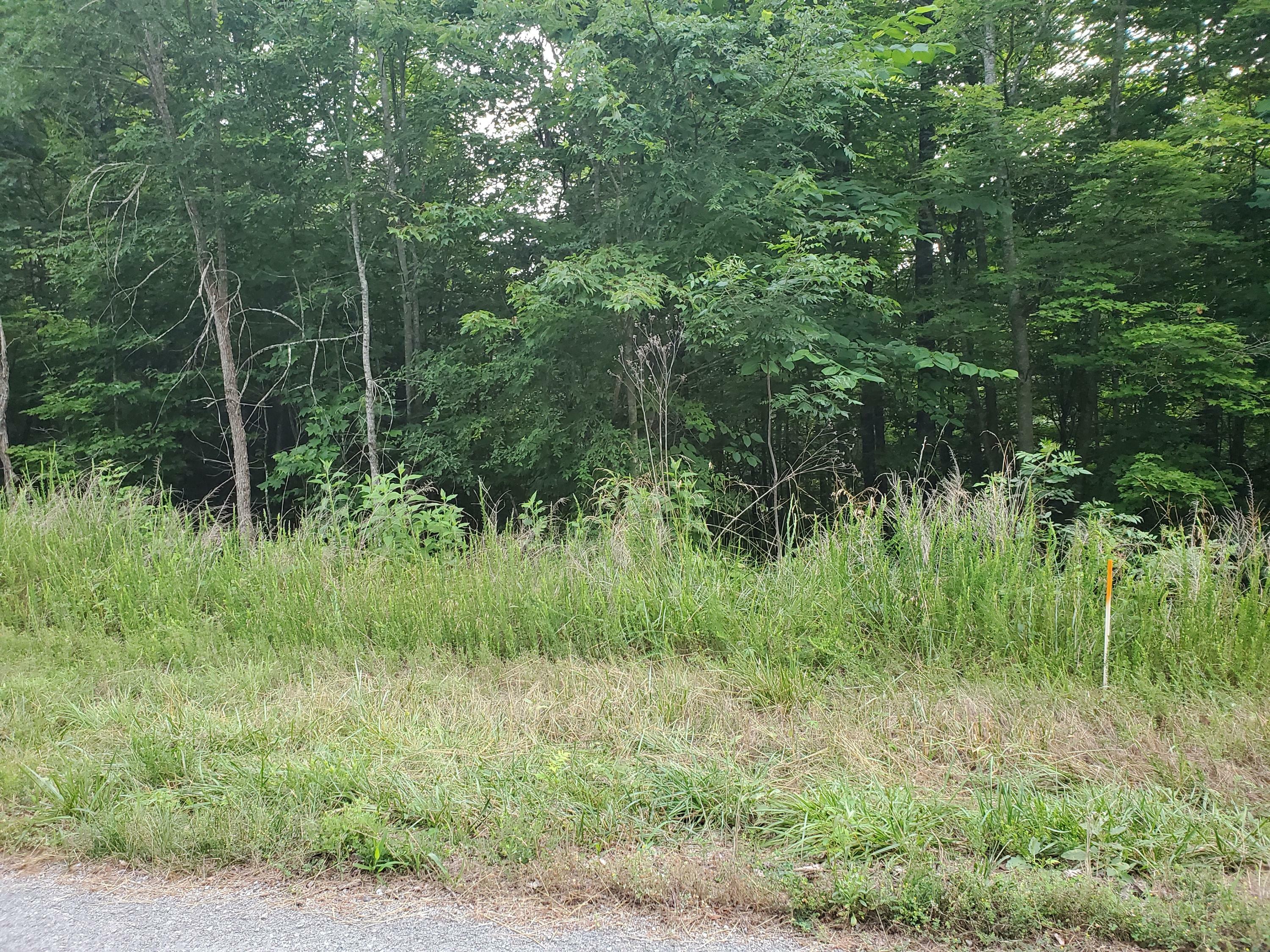 Property Photo:  Bluff View Road Rd  TN 37825 