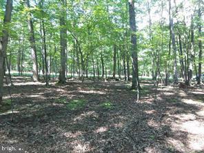 Property Photo: Lot 29 Honey Locust Lane WV 25422