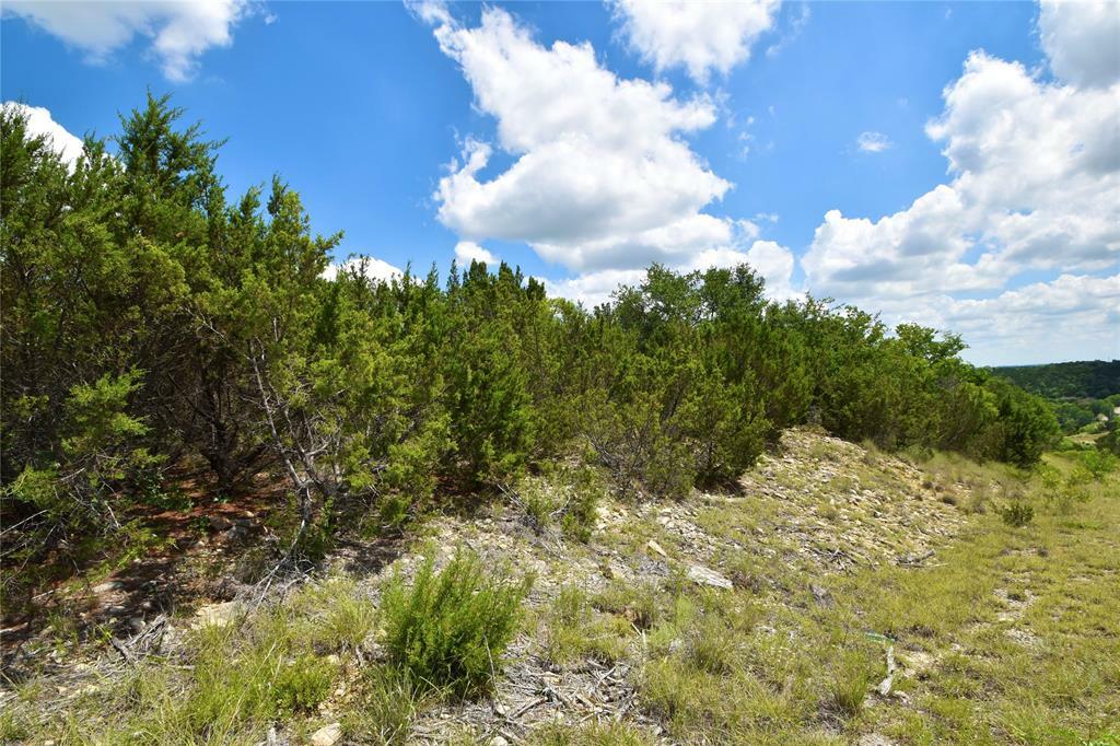 Property Photo:  4385 Skyline  TX 76433 