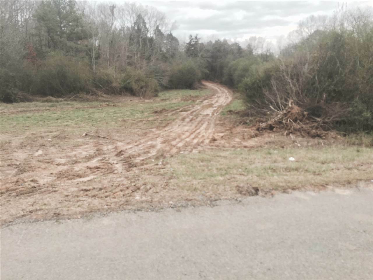 Property Photo:  County Road 704  TN 37303 