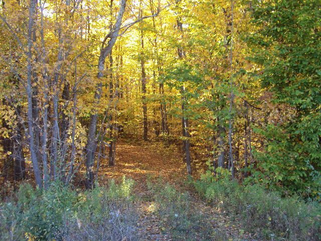 Property Photo:  M-33 6.73 Acres  MI 49705 