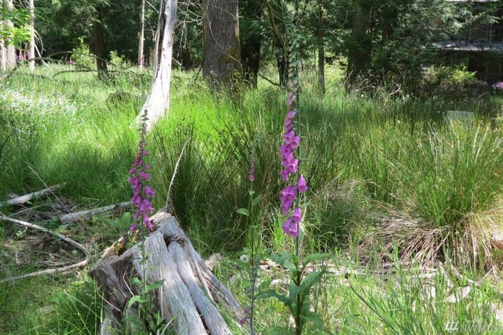 Property Photo:  315 E Pointes Dr E  WA 98584 