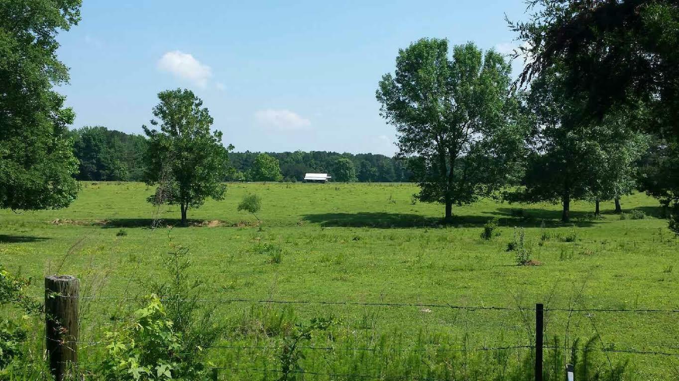 Property Photo:  0 Kay Conley Rd.  GA 30739 