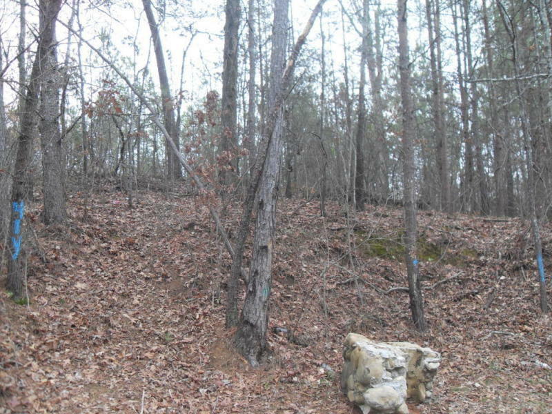 Property Photo:  015 Hillside Dr  GA 30741 