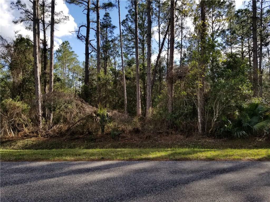 Property Photo:  Quince Avenue  FL 32736 