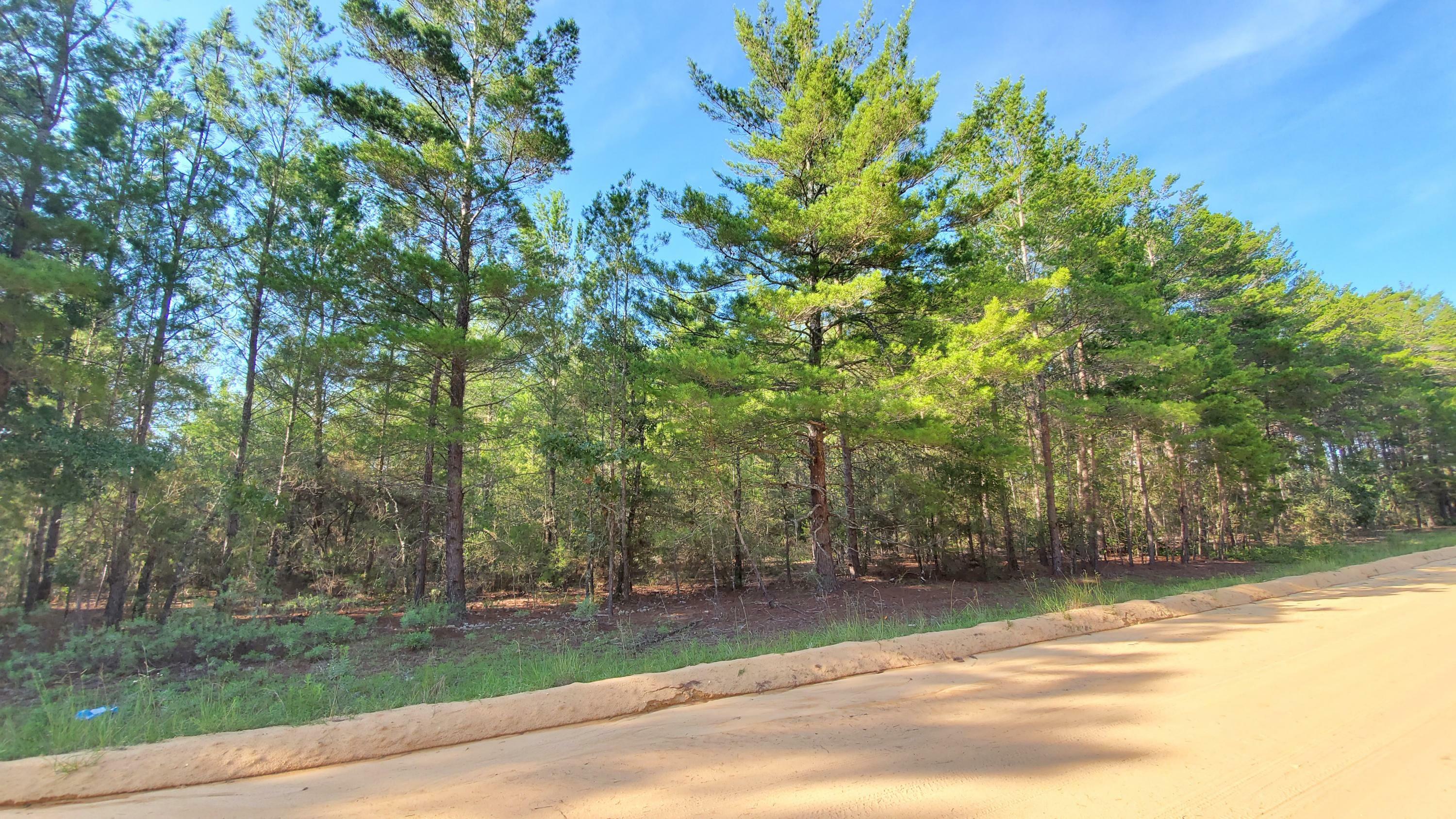 Property Photo:  Xxx 10 Ac. Coyote Rd.  FL 32539 