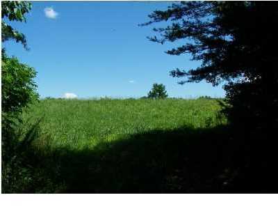 Property Photo: 0 County Rd 140 AL 35981