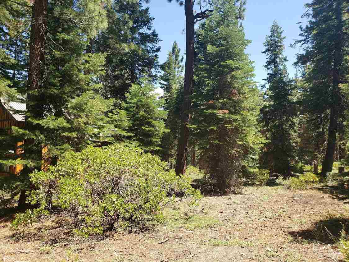 Property Photo:  00 Pinedrop Lane 7651 Pinedrop Lane  CA 96148-0000 