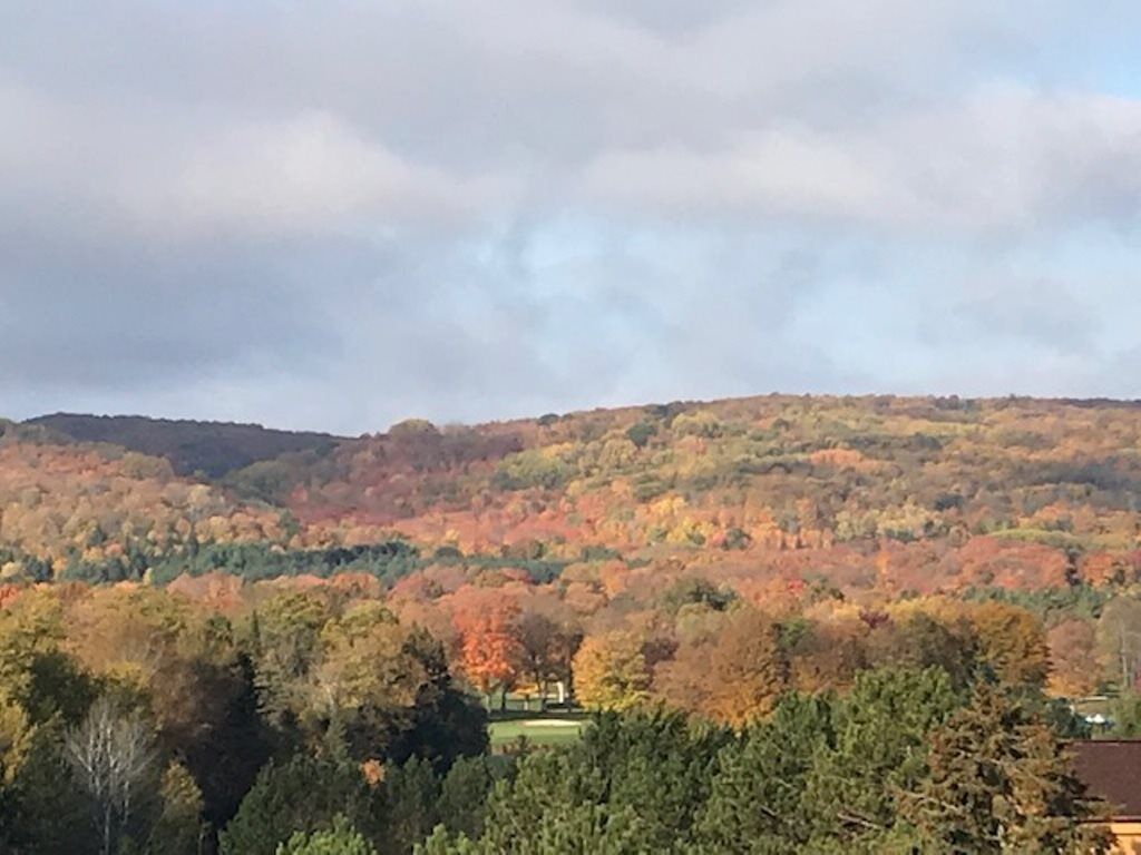 Property Photo: 4749 S Pleasantview 69 MI 49740