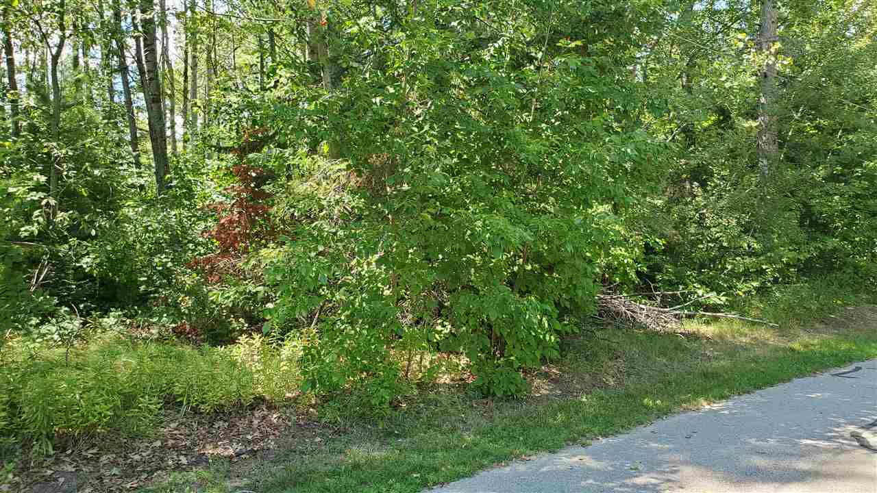 Property Photo:  Xxx Osage  MI 48629 