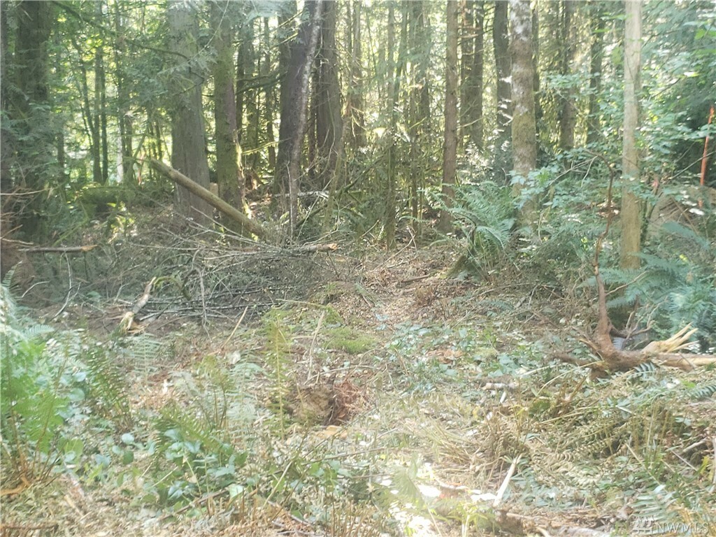 Property Photo: 13612 Peacock Hill Ave WA 98335