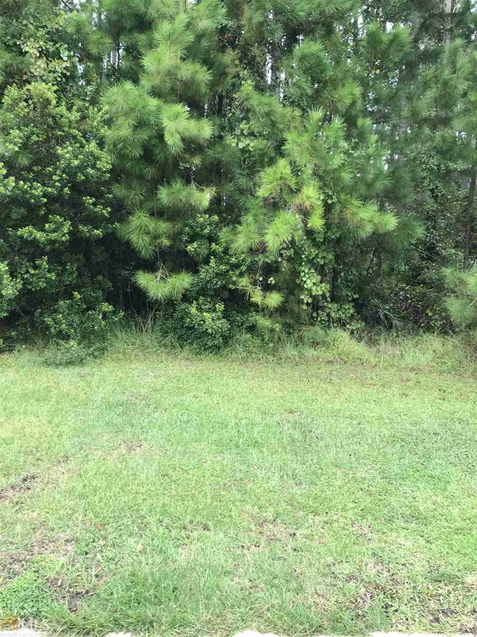 107 Lexington Ln Lot 23  Kingsland GA 31548 photo