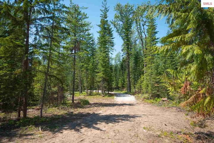 Nka Birch Grove Dr  Sandpoint ID 83869 photo