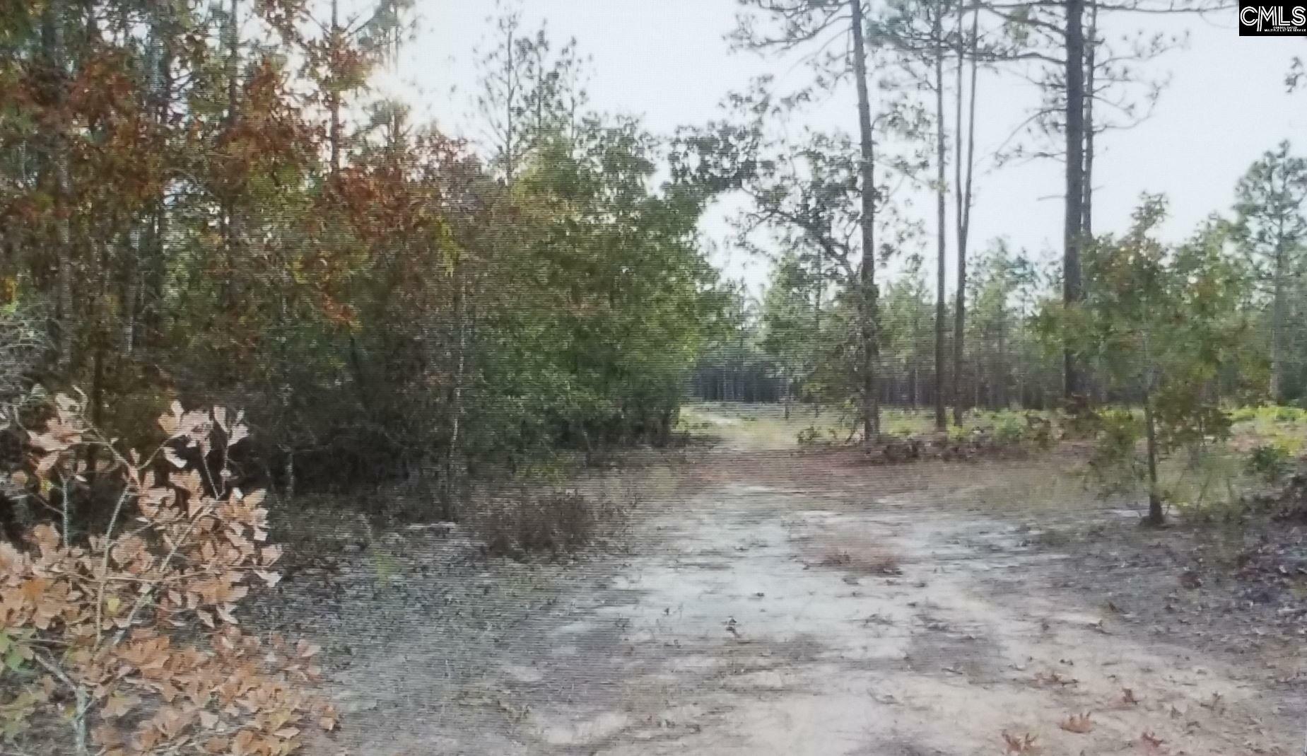 Property Photo: 128 Sugar Bottom SC 29070