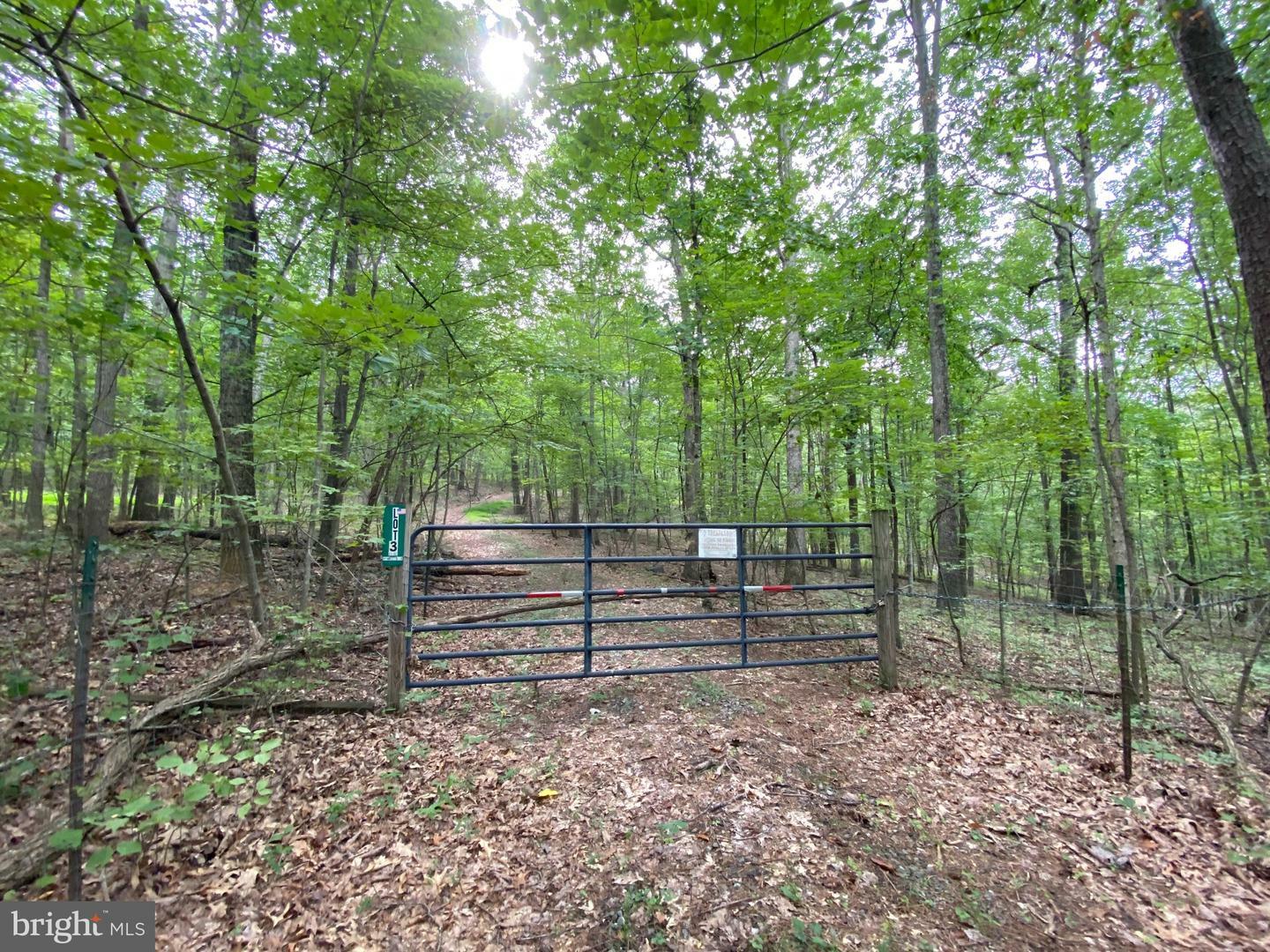 Property Photo:  Lot 3 Independence Lane  VA 22844 