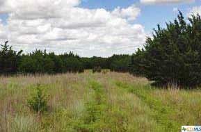 Property Photo:  Tract 5 Harmon Ranch  TX 76522 