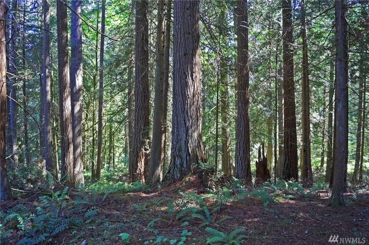 8190 SE Lynch Rd  Shelton WA 98584 photo