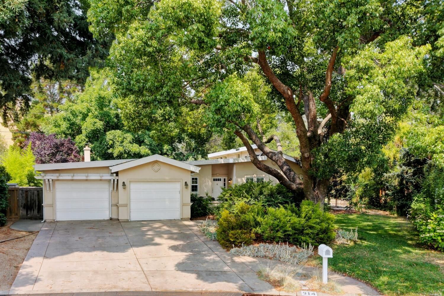 Property Photo:  914 Calle Del Caballo Street  CA 94534