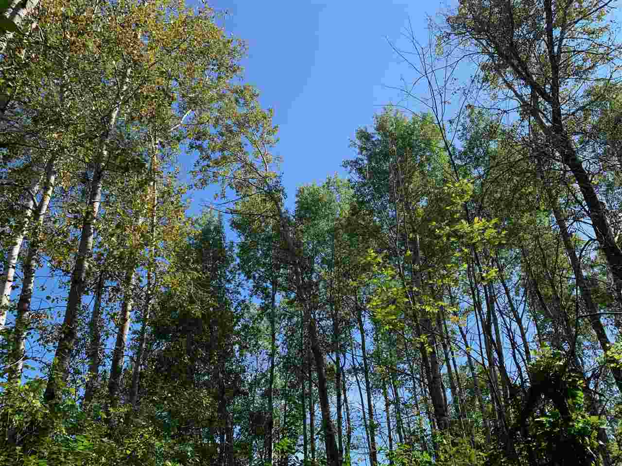 Property Photo: Tbd Collings MI 49712