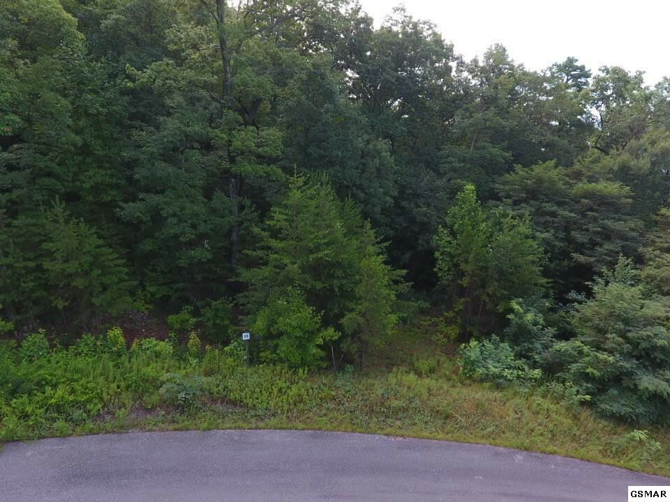 Lot #55 Mountain Ash Way  Sevierville TN 37876 photo