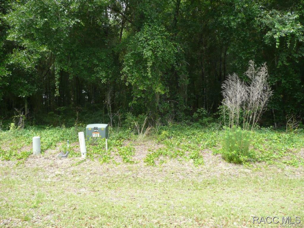 Property Photo:  2986 N Folkestone Loop  FL 34442 