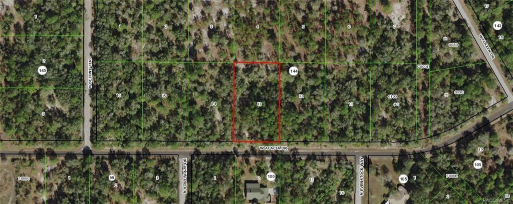 12125 W Acacia Drive  Crystal River FL 34428 photo