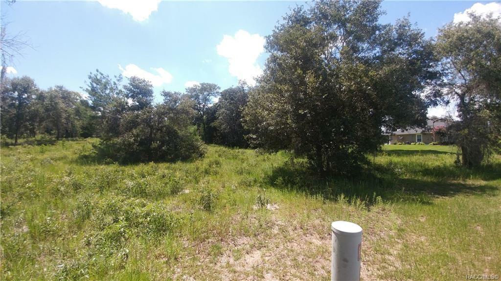 1435 E Ridgeline Path  Inverness FL 34453 photo