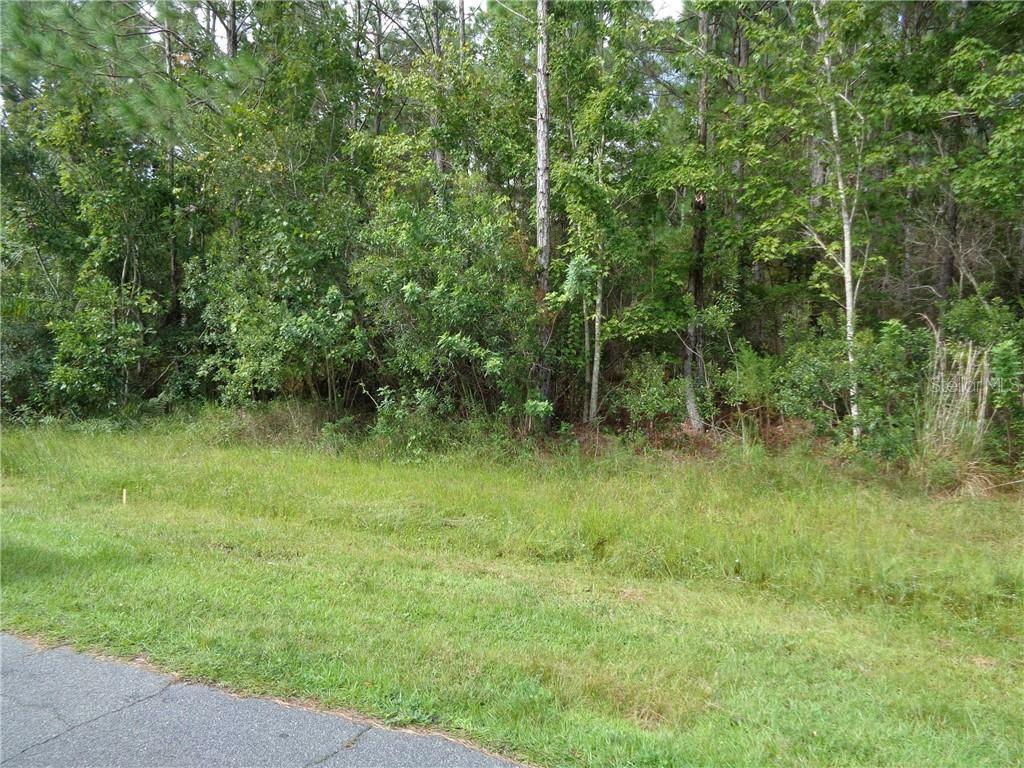 Property Photo:  Rosaro Court  FL 34758 