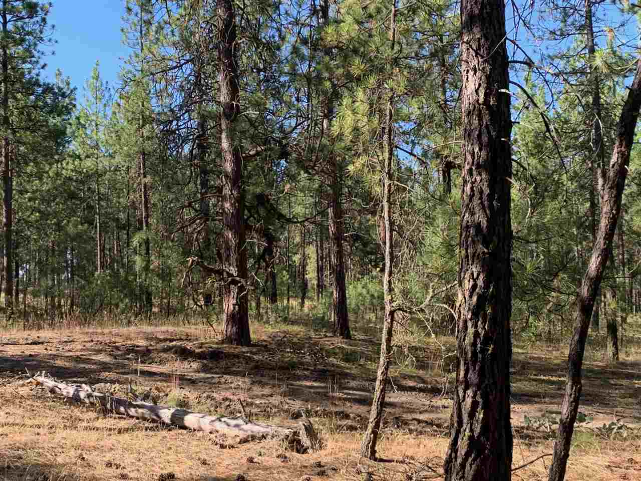 Property Photo:  18505 W Buckboard Rd  WA 99022 