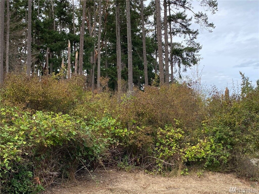 Property Photo: 0 7th St NW WA 98239