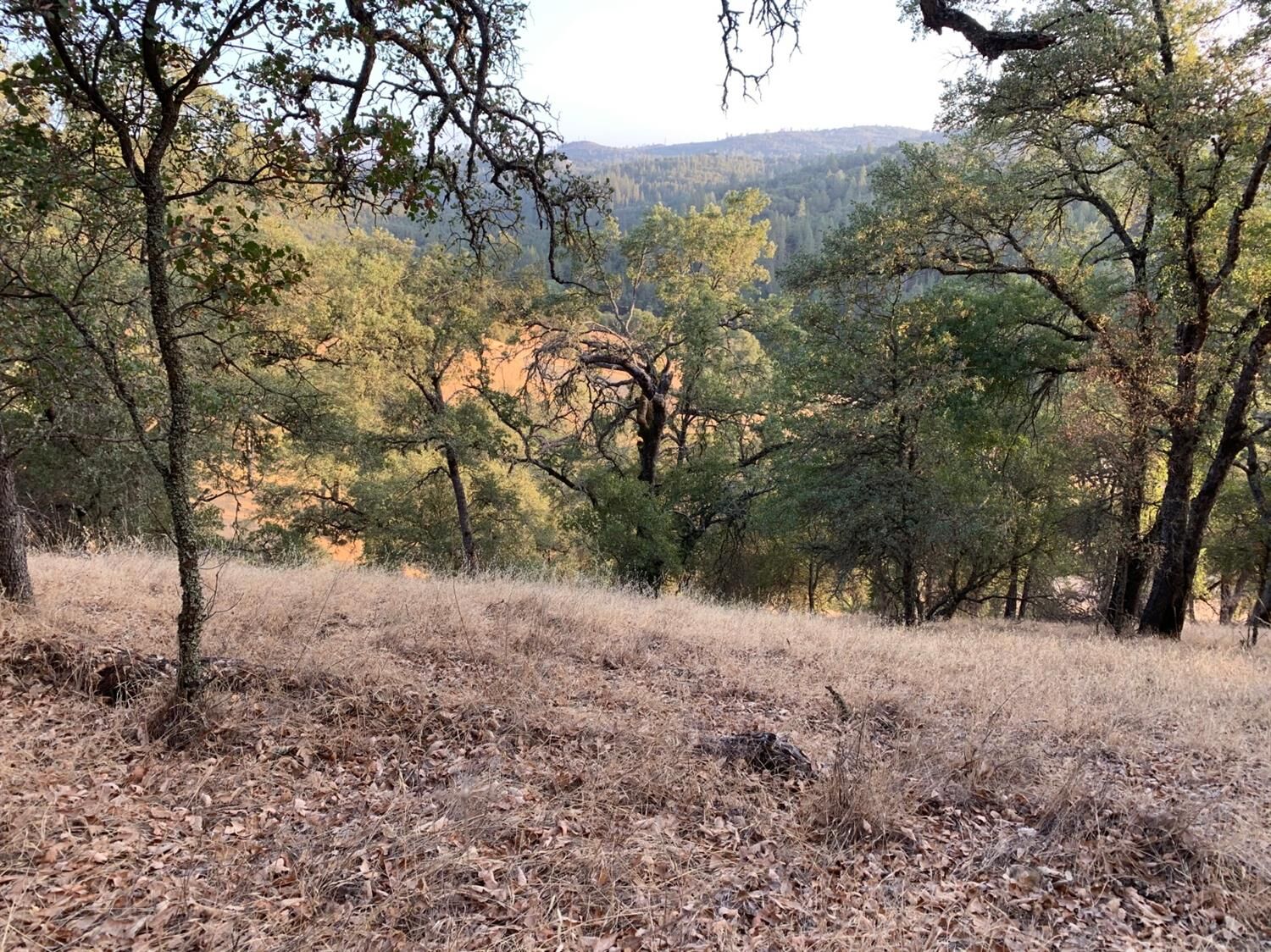 Property Photo: 0 Baldwin Drive CA 95667