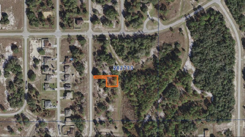 Property Photo:  1311 Congo Drive  FL 34759 