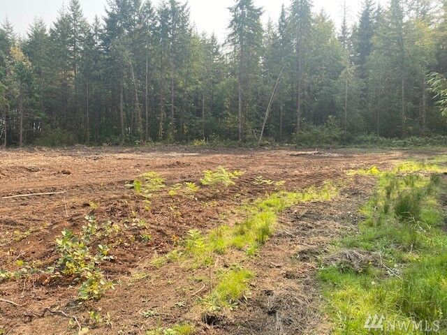 Property Photo: 187 Roppert Rd WA 98596